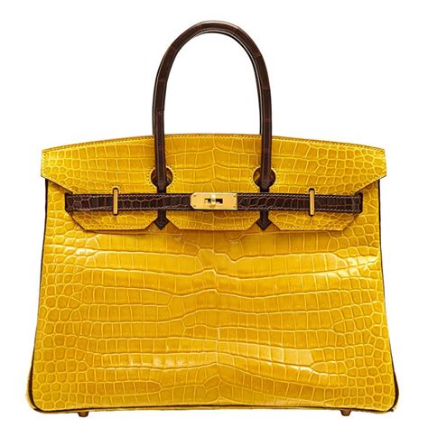 hermes birkin yellow|Hermes Birkin crocodile.